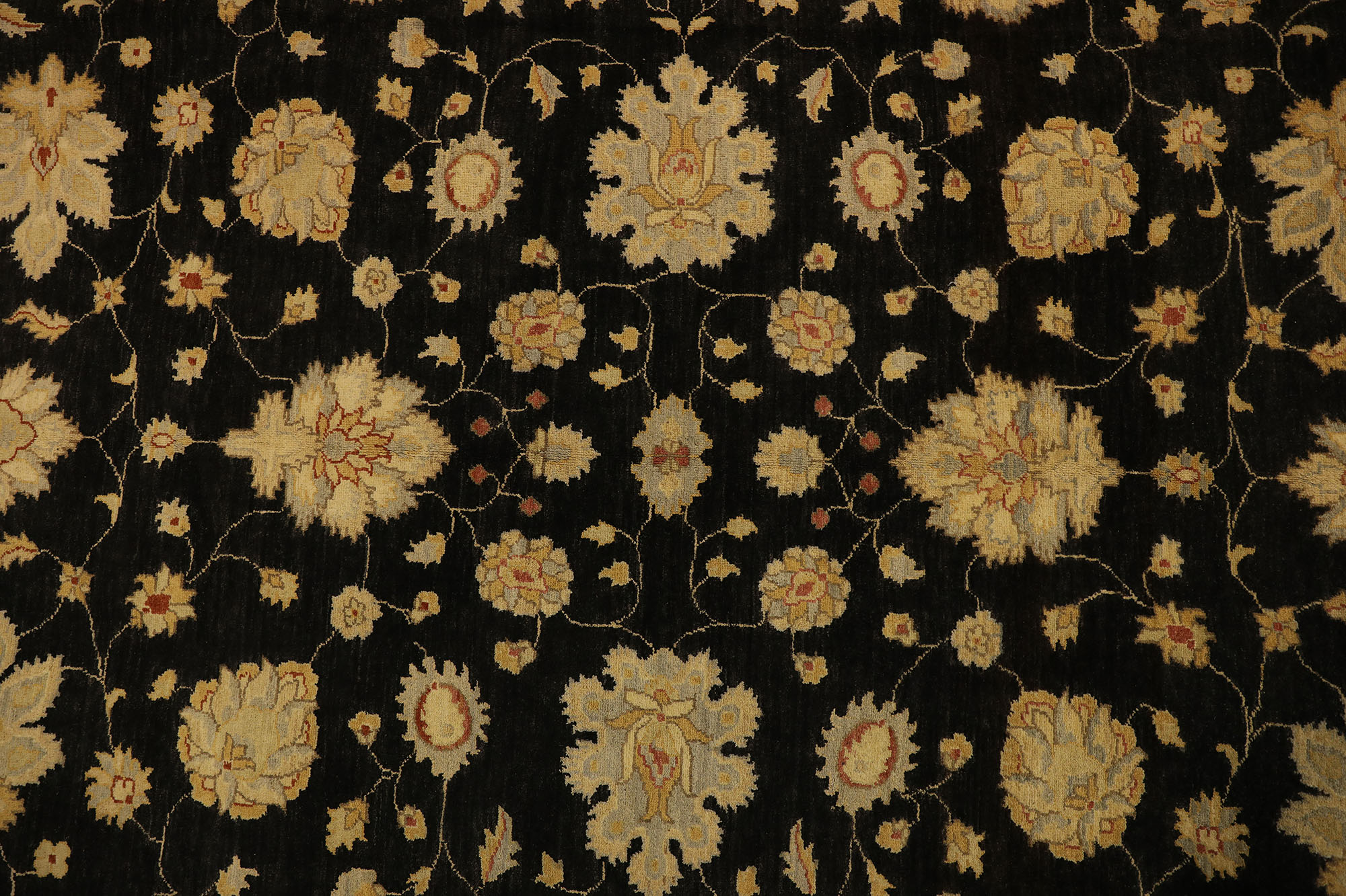 Carpet-0513