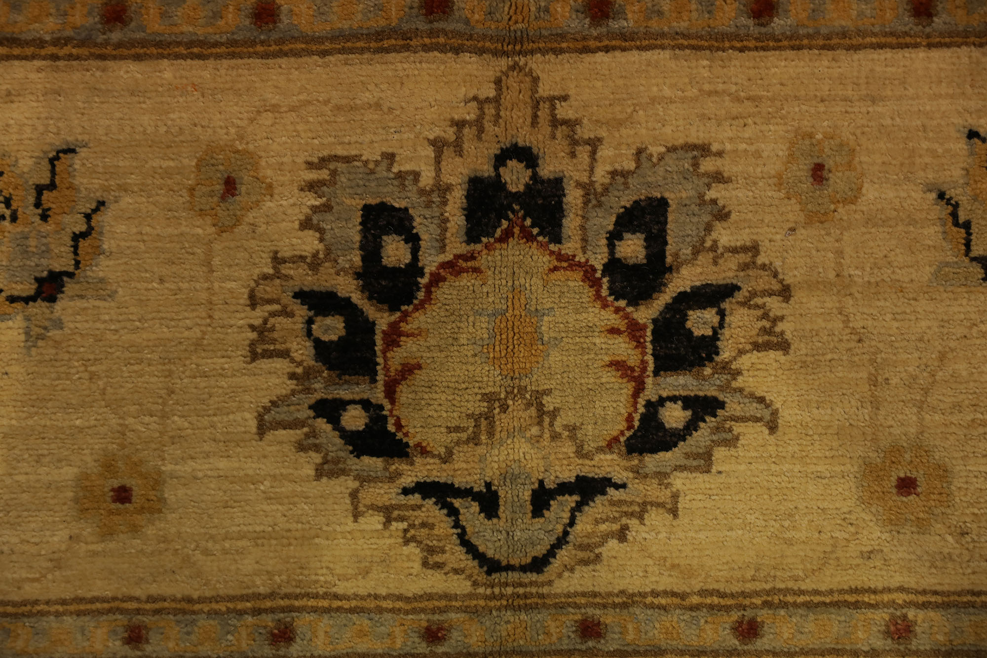 Carpet-0517