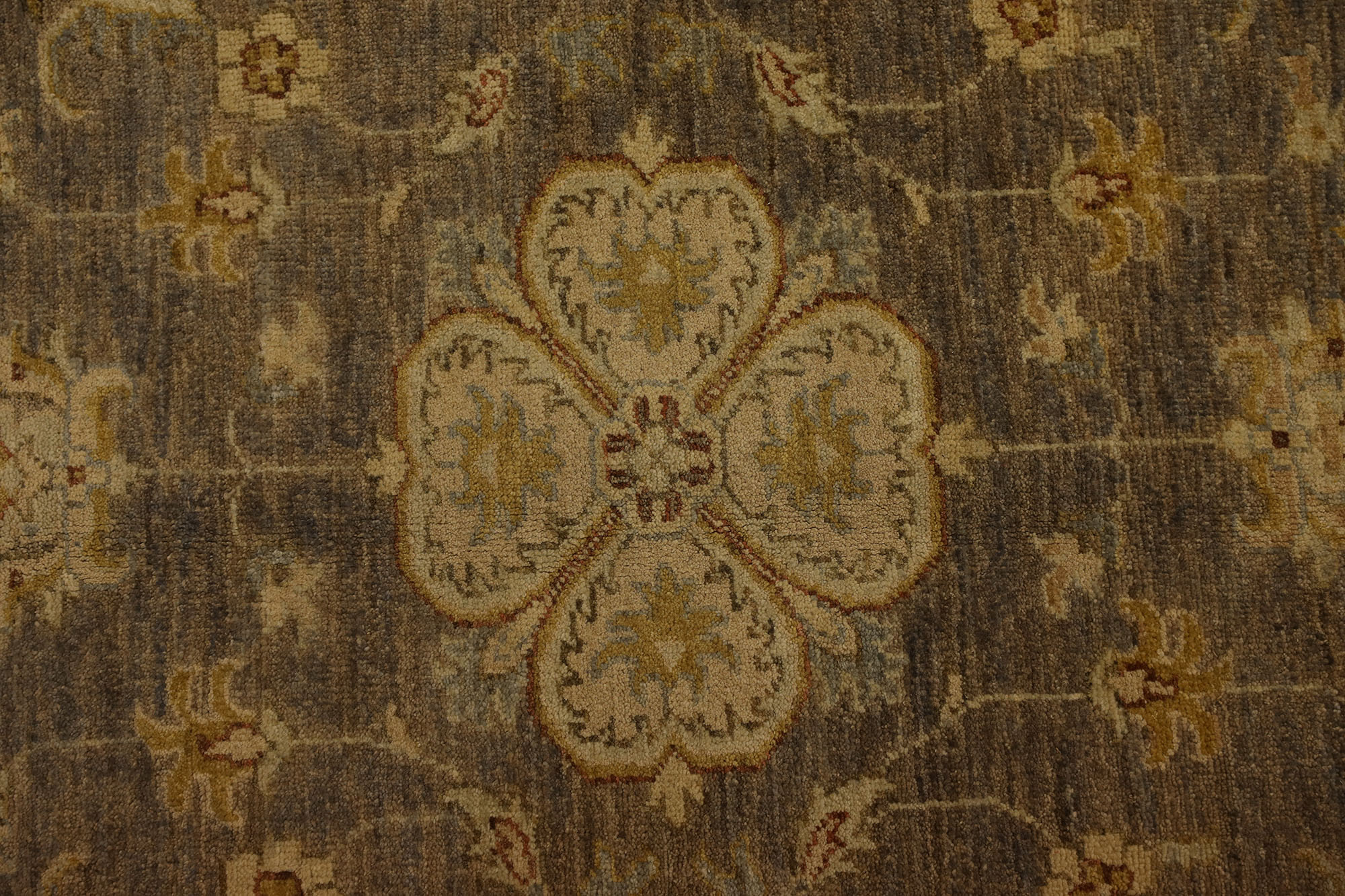 Carpet-0526