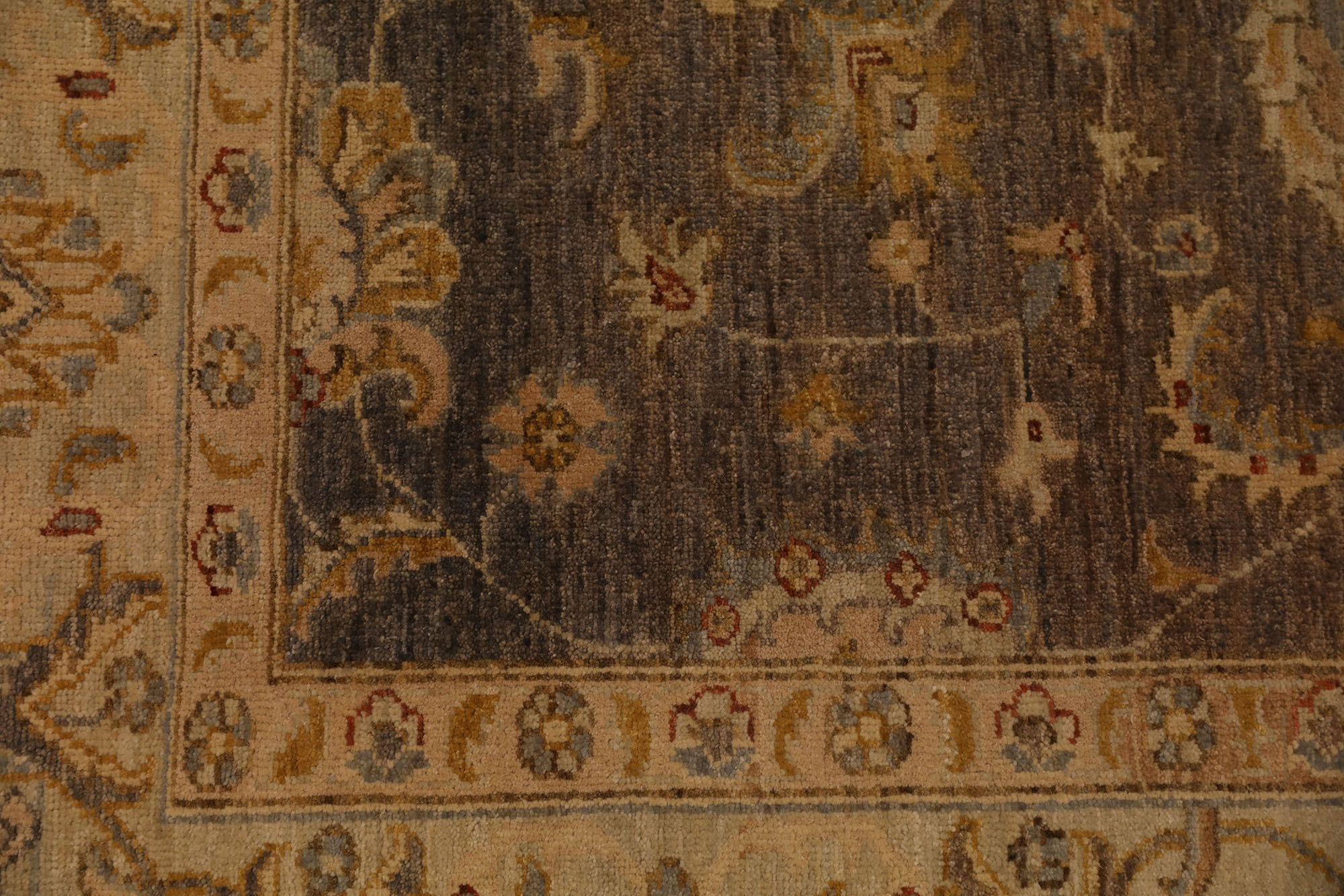 Carpet-0537