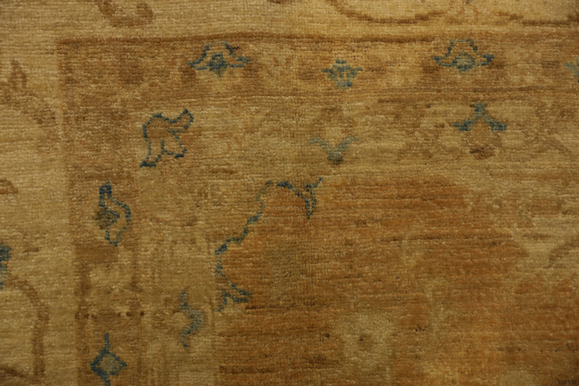 Carpet-0582