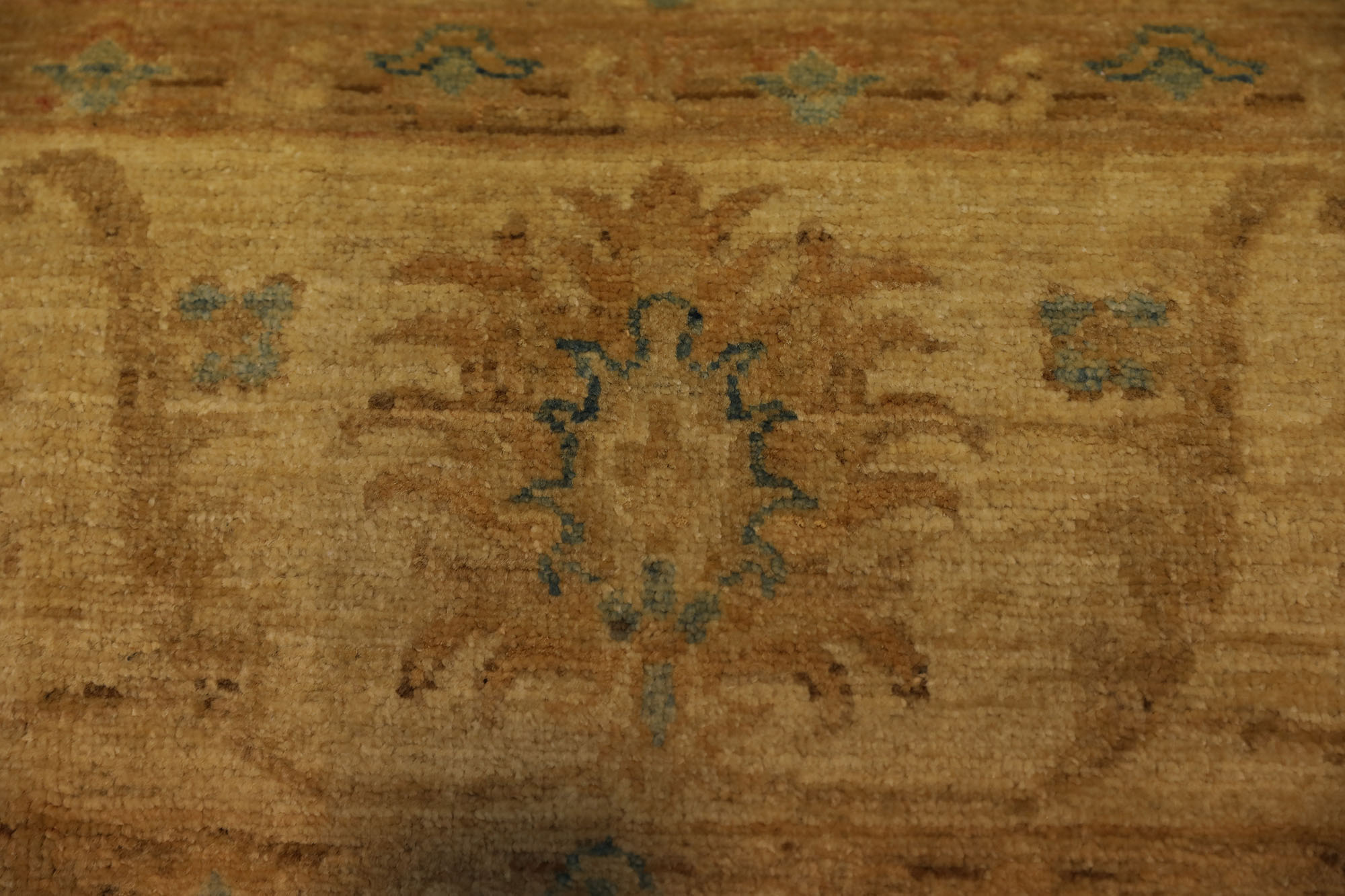 Carpet-0586