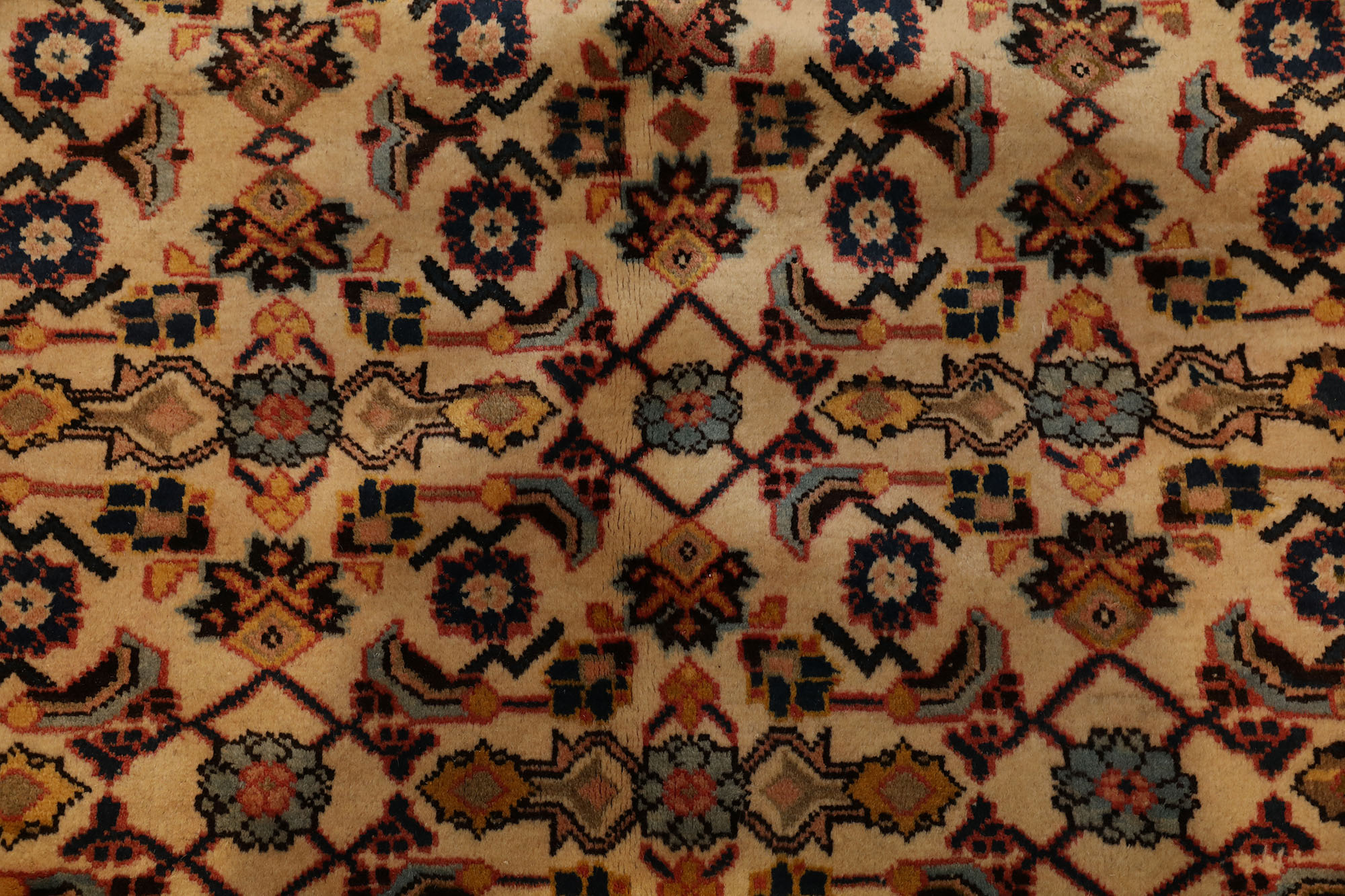 Carpet-0656