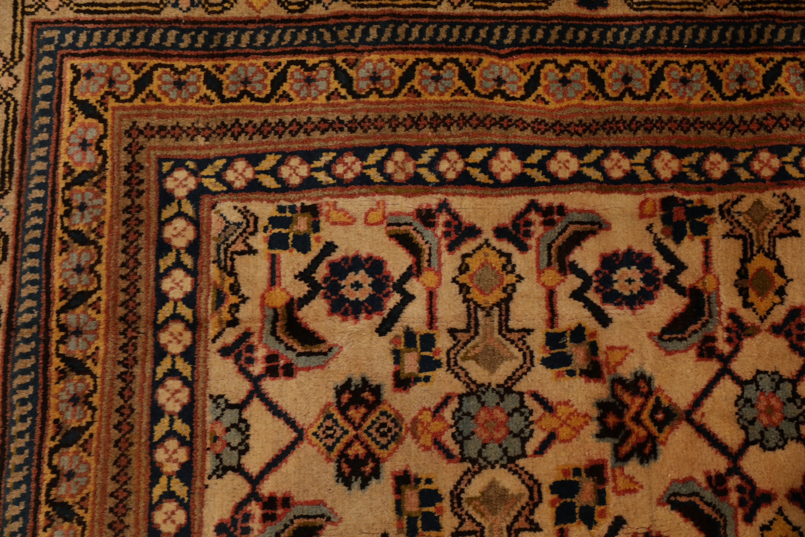 Carpet-0659
