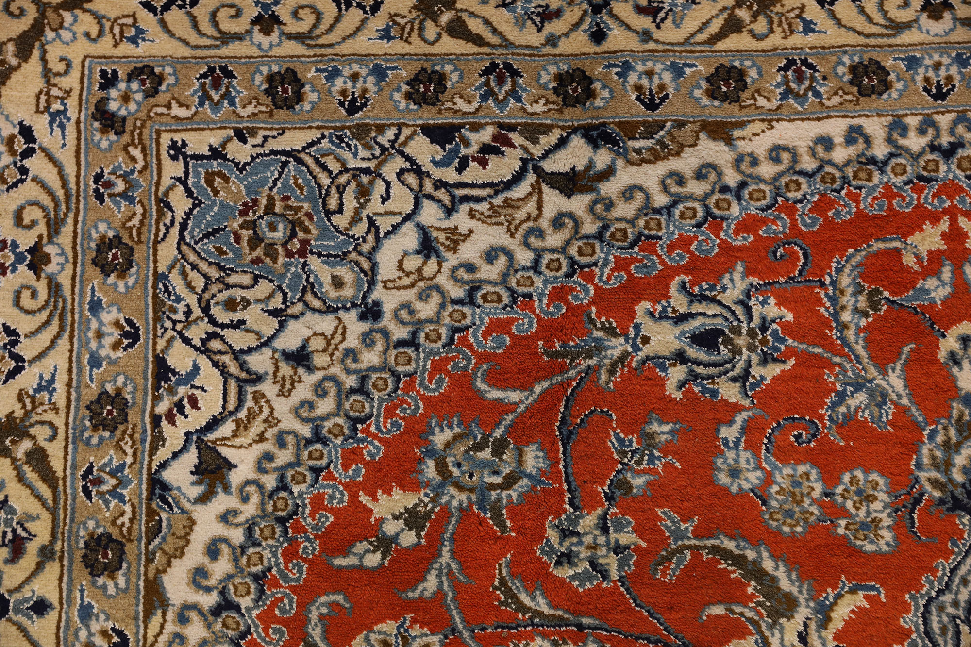 Carpet-0879