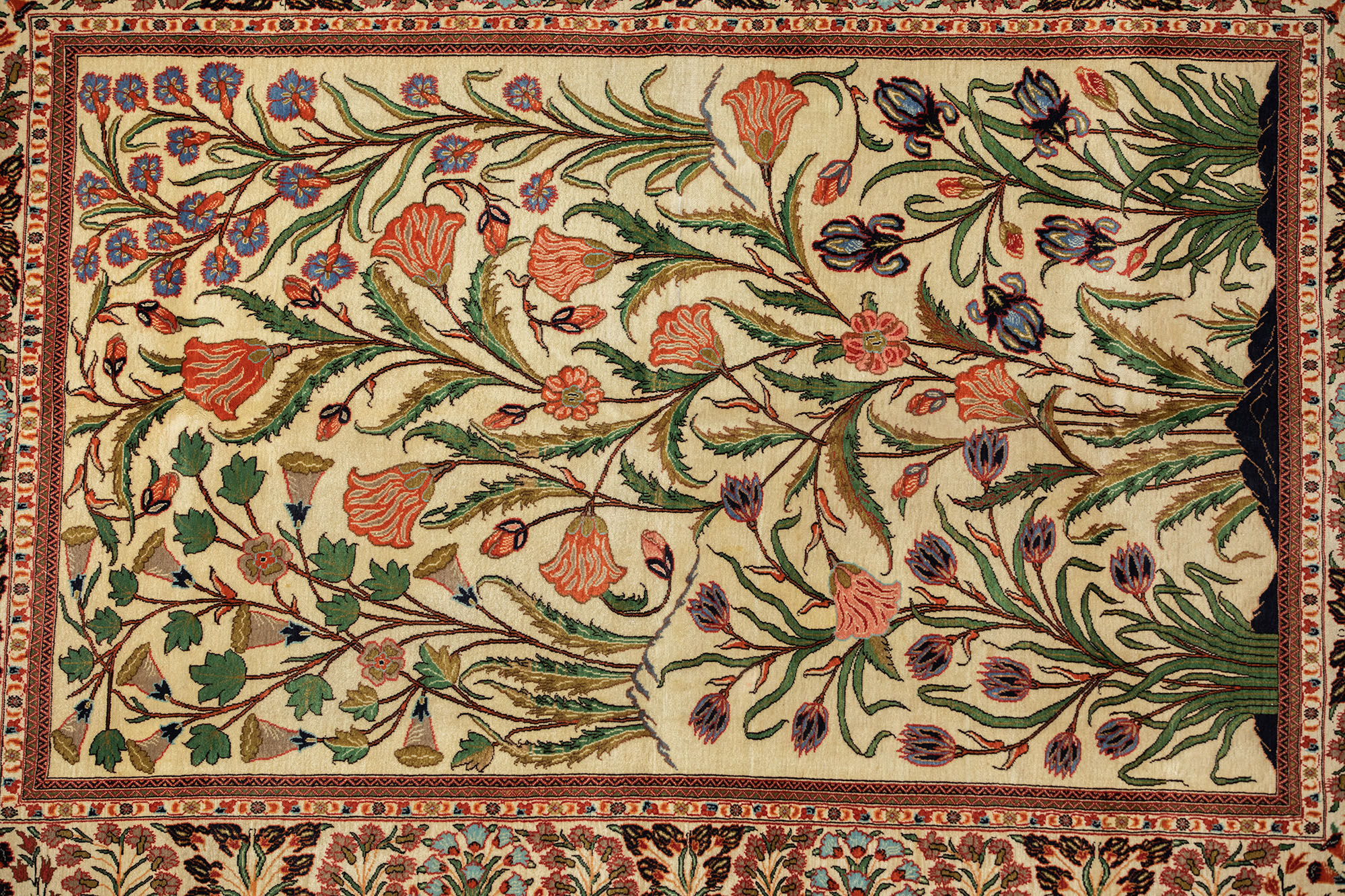 Carpet-7865