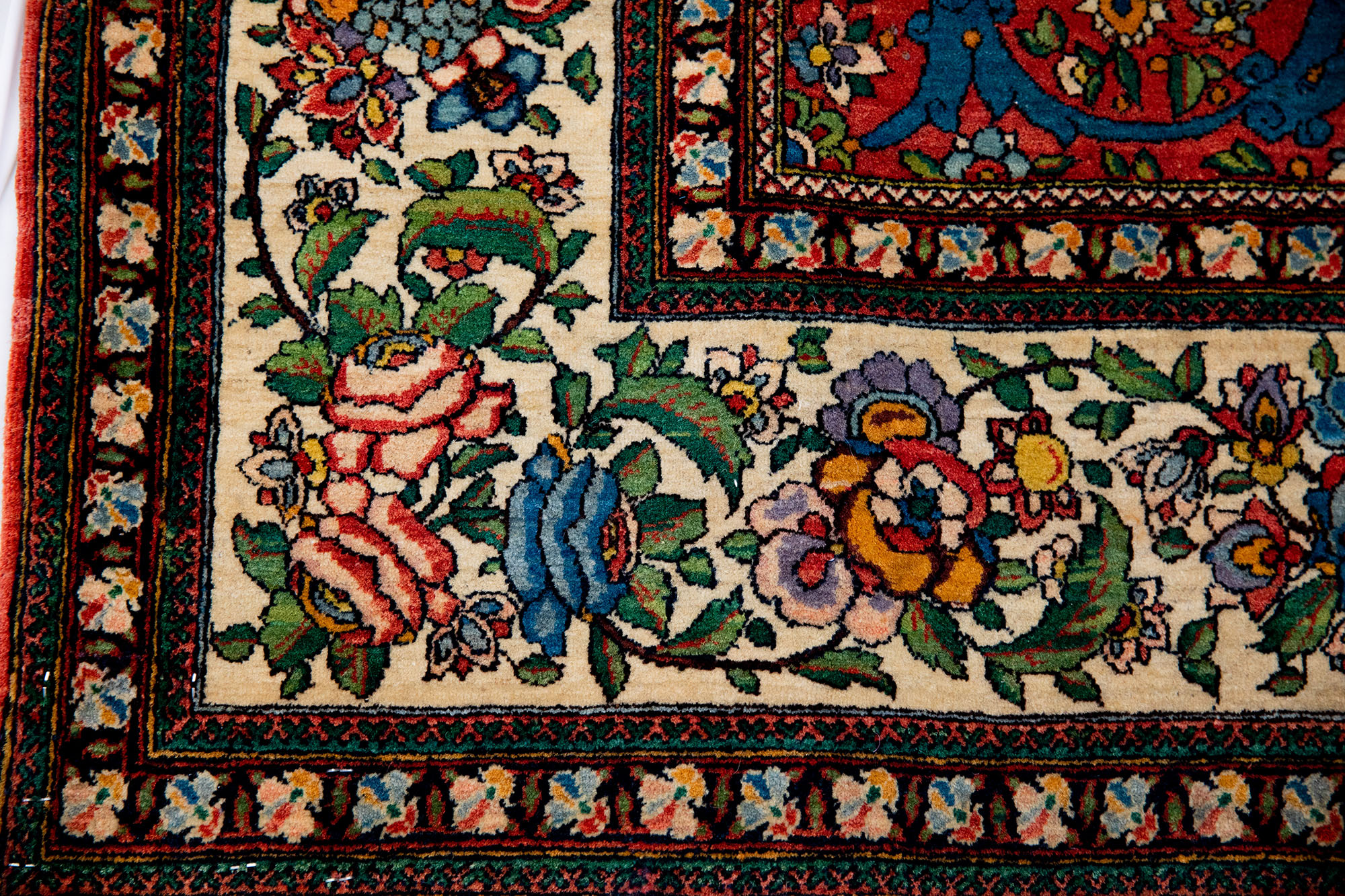 Carpet-8934