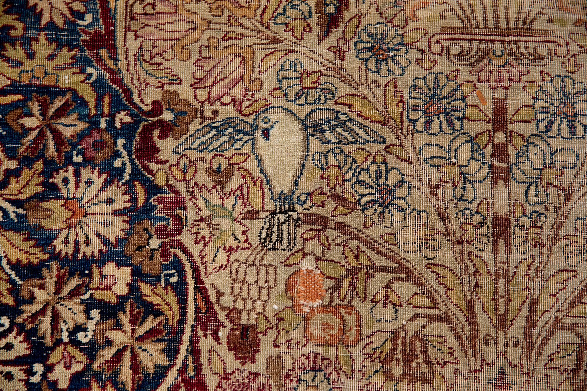 Carpet-9012