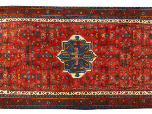 Persian Hamadan Village Rug - 3.23x1.50