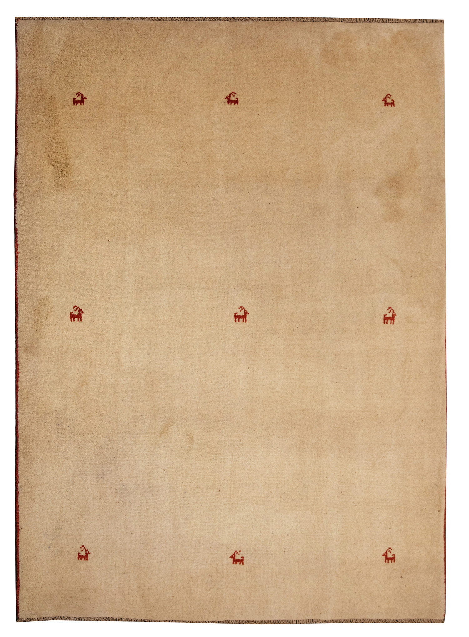 Peter (193)-flat