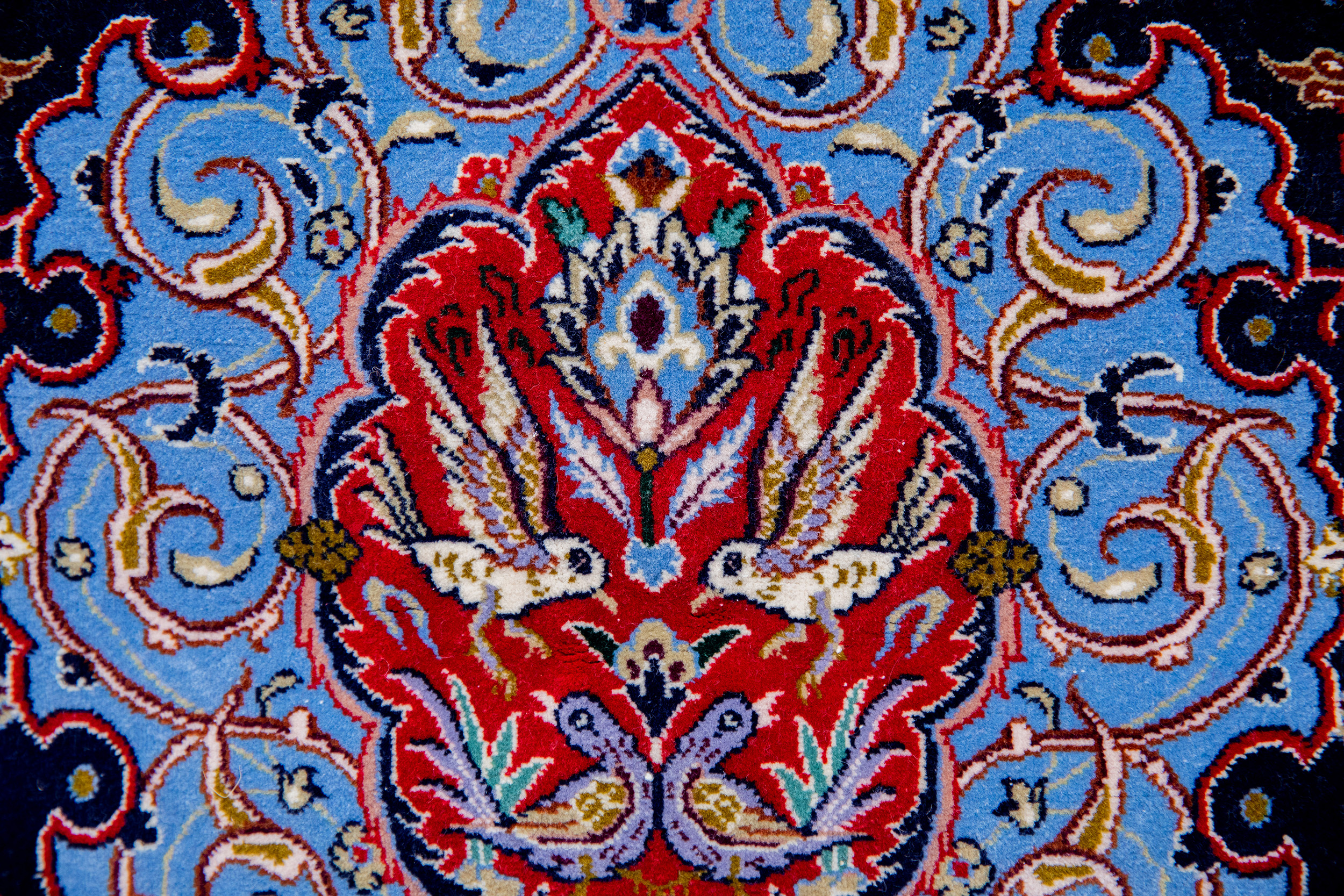 Carpet-9064