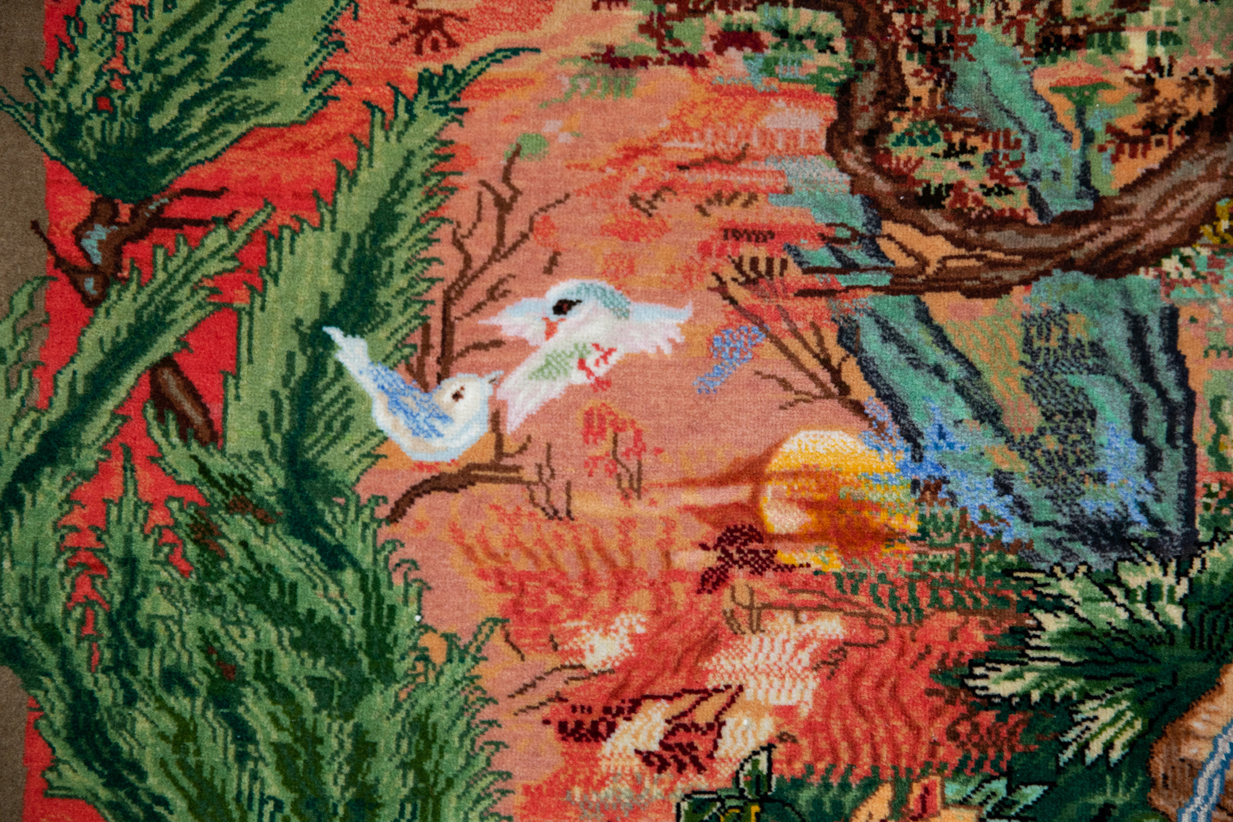 Peter Carpet (132)