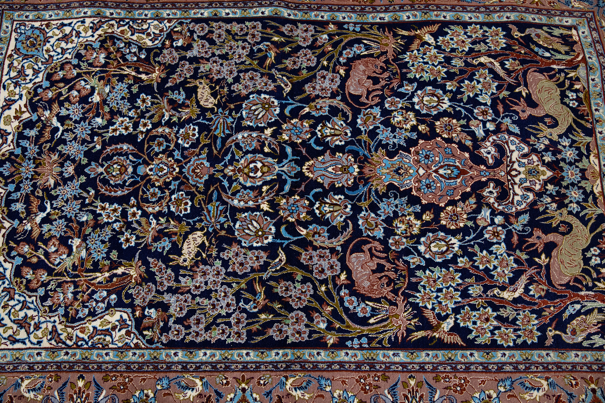 Peter Carpet (156)
