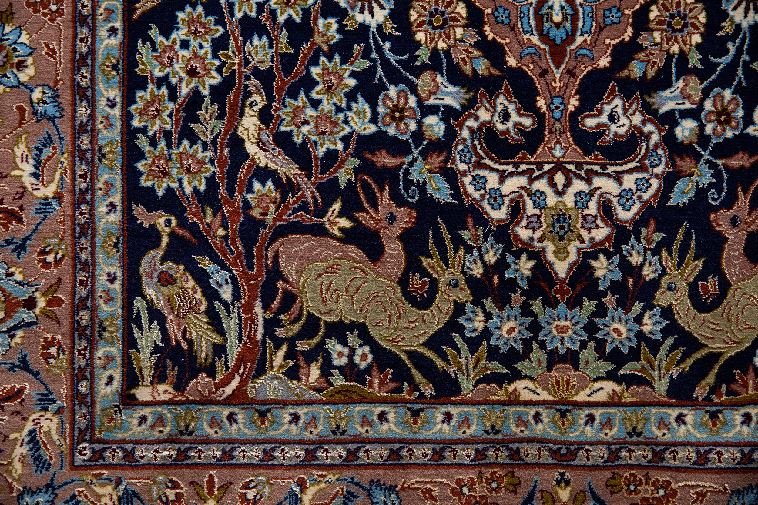 Peter Carpet (158)