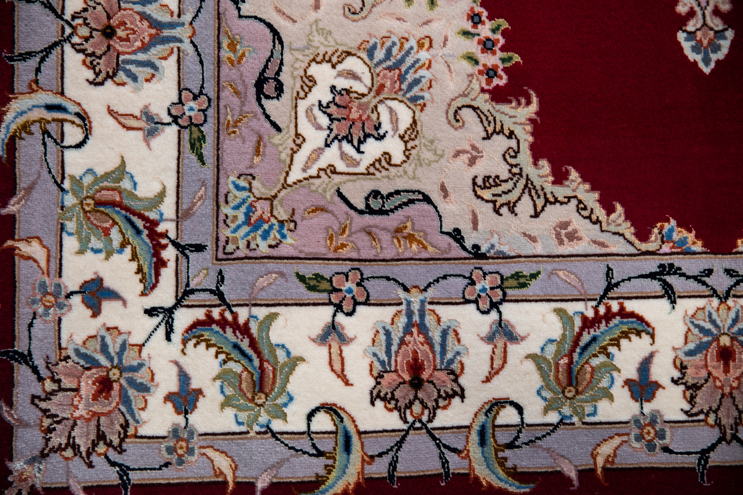 Peter Carpet (302)