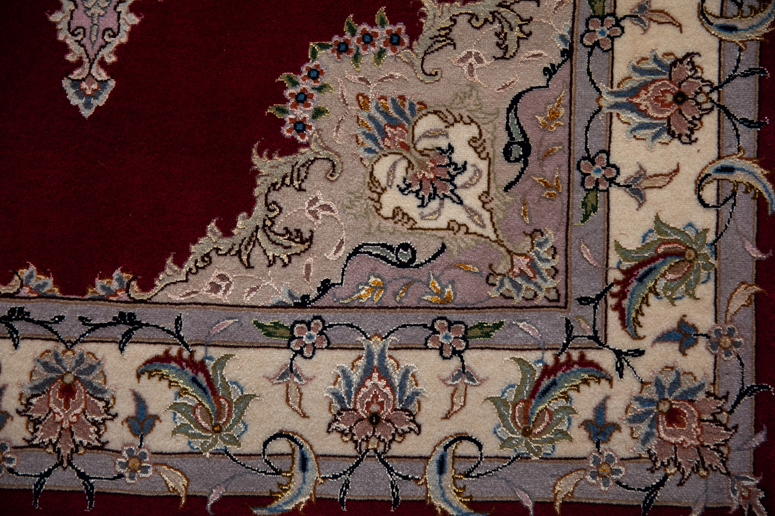 Peter Carpet (303)