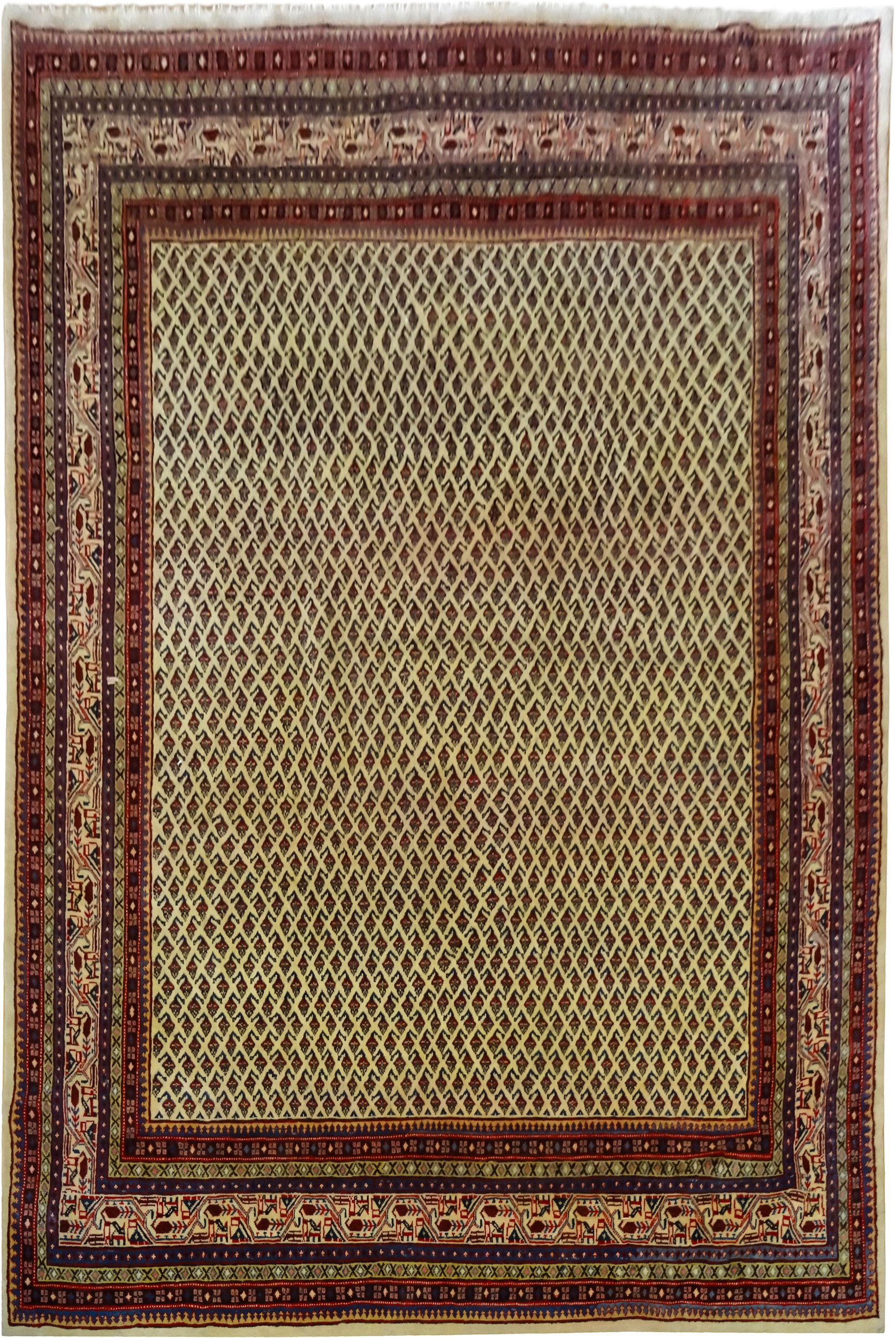 DSC02389