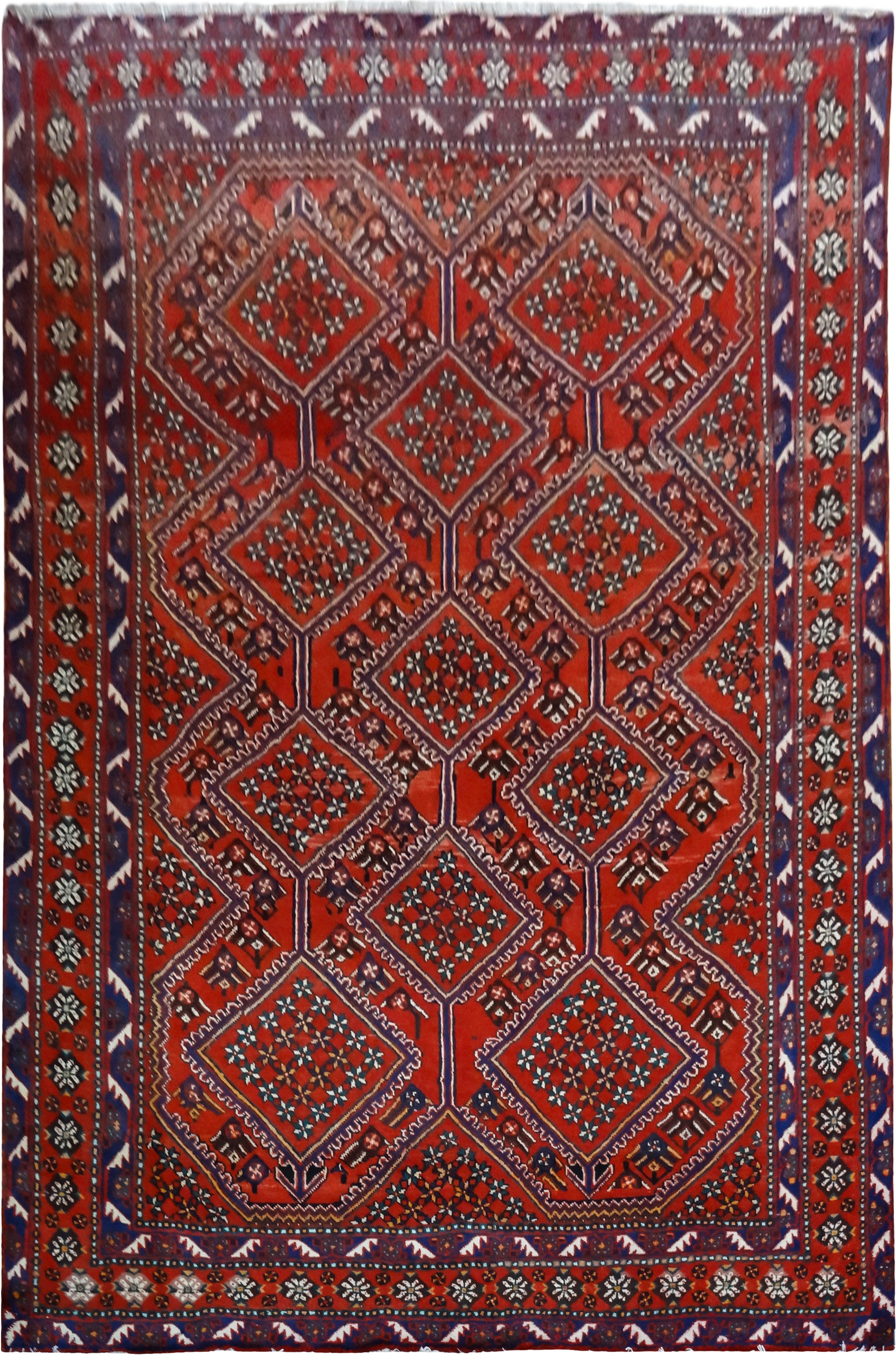 DSC02428
