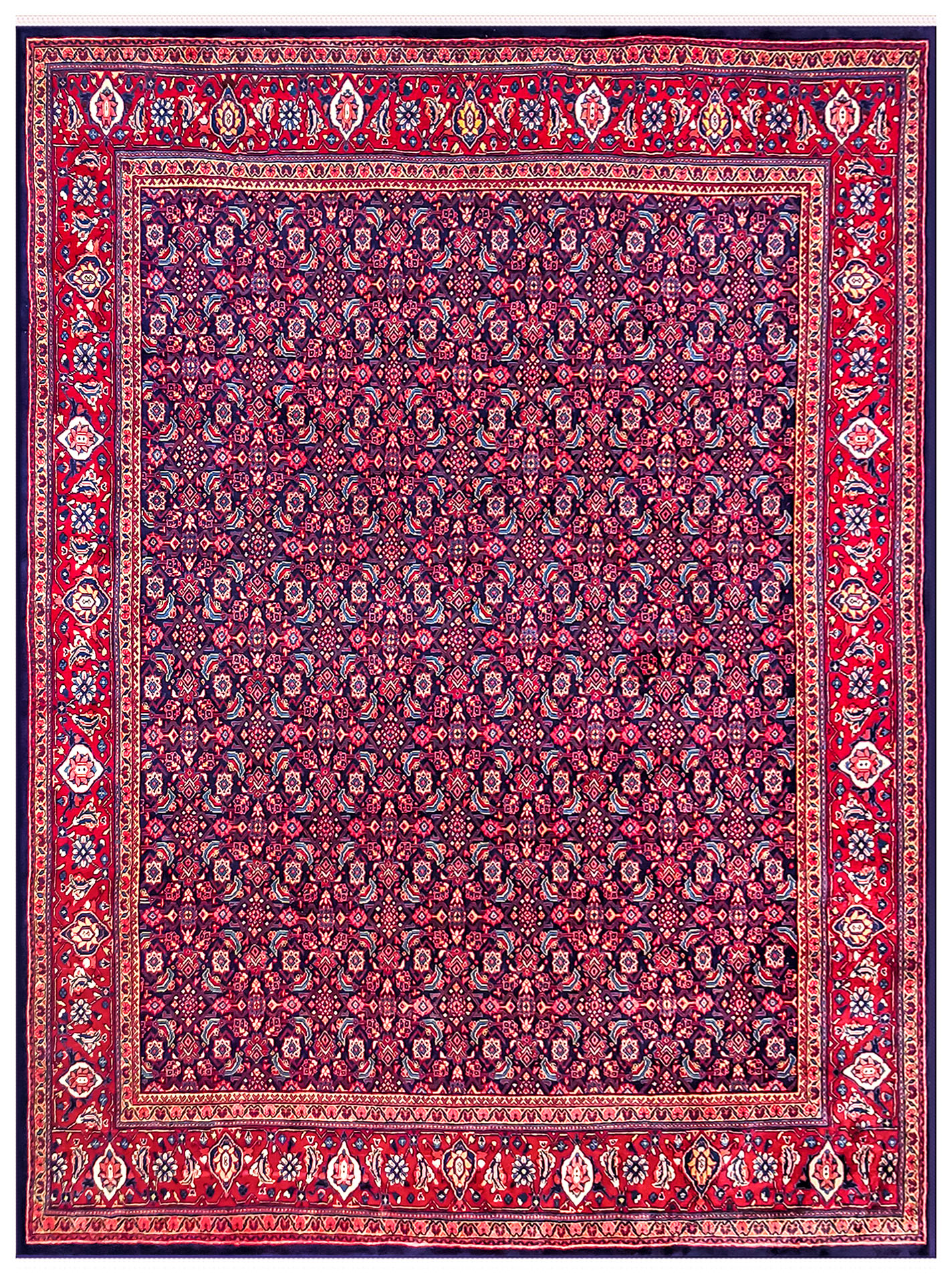 AMR_3967